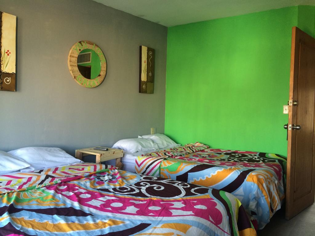 Bajas Cactus Hostel Кабо Сан Лукас Стая снимка