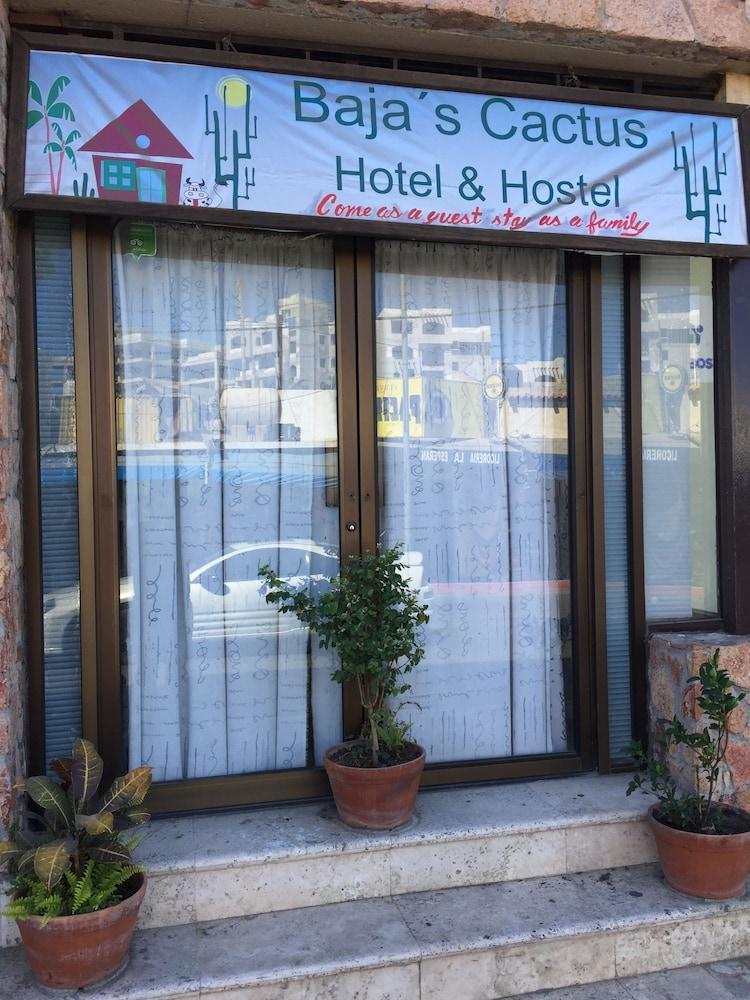 Bajas Cactus Hostel Кабо Сан Лукас Екстериор снимка