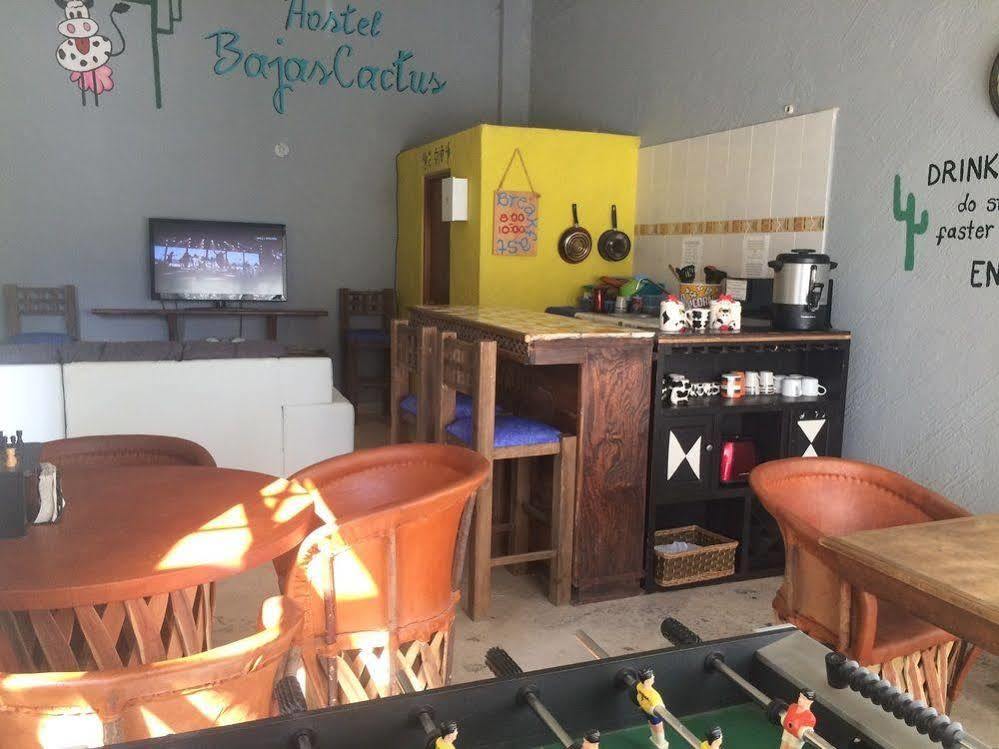 Bajas Cactus Hostel Кабо Сан Лукас Екстериор снимка