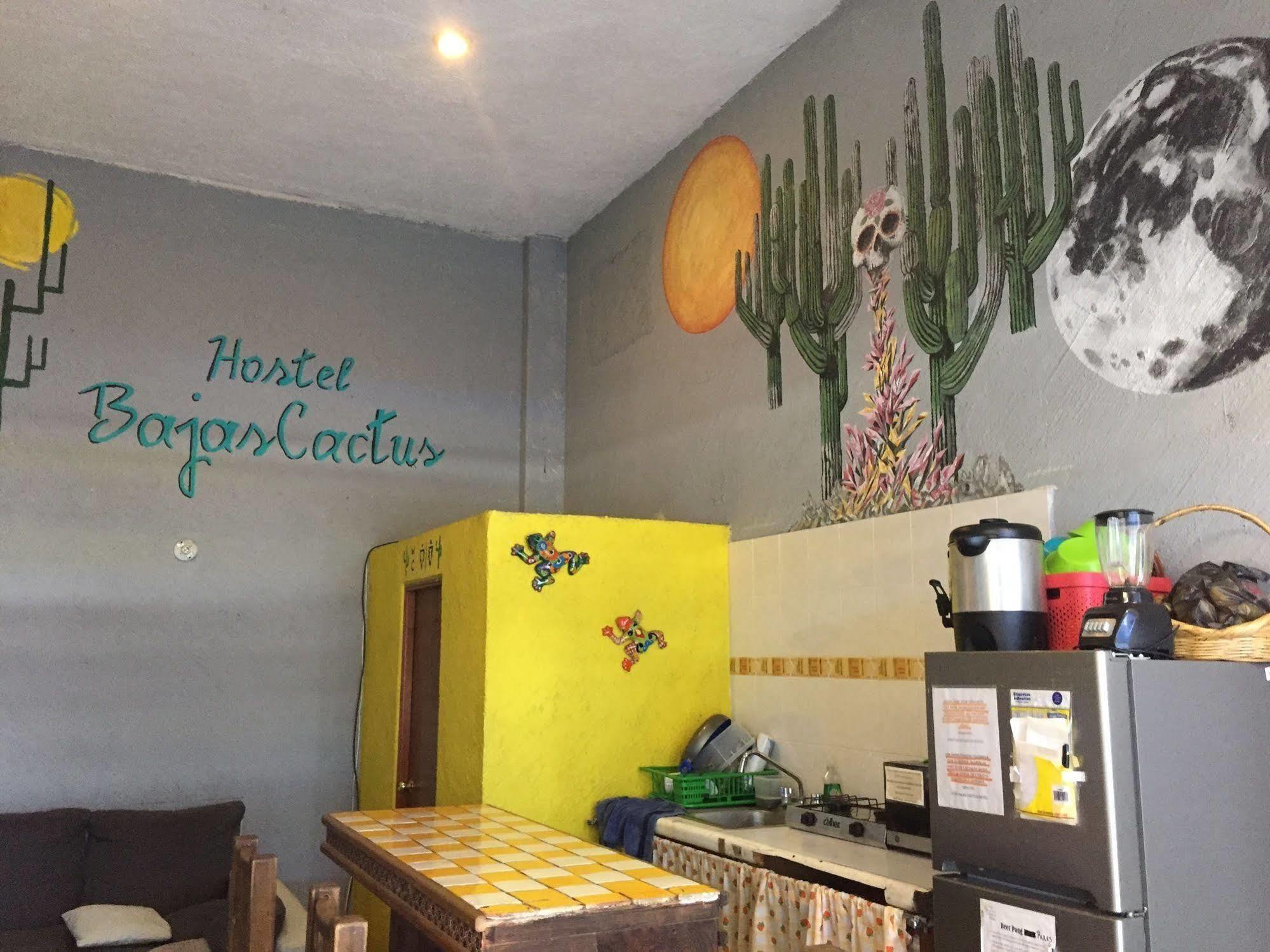 Bajas Cactus Hostel Кабо Сан Лукас Екстериор снимка