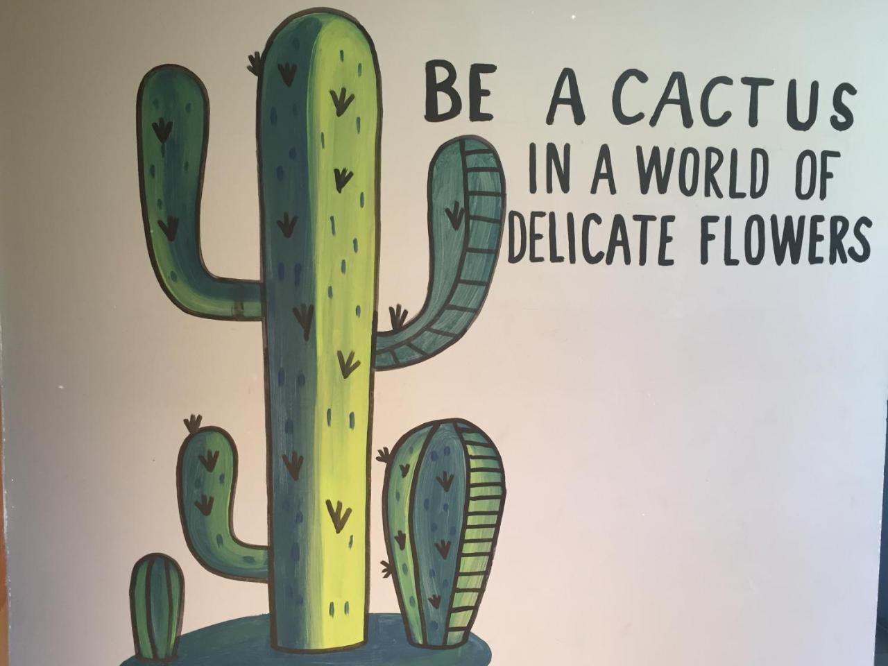 Bajas Cactus Hostel Кабо Сан Лукас Екстериор снимка
