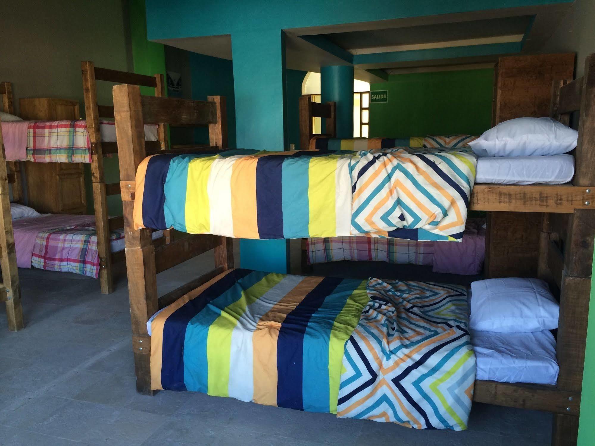 Bajas Cactus Hostel Кабо Сан Лукас Екстериор снимка