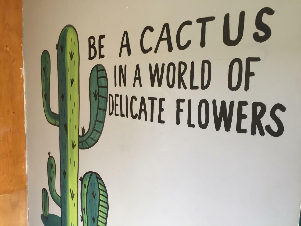 Bajas Cactus Hostel Кабо Сан Лукас Екстериор снимка